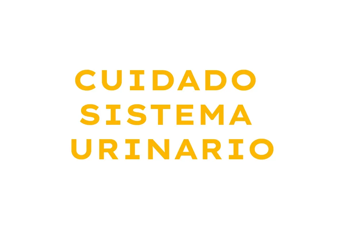 cuidado sistema urinario