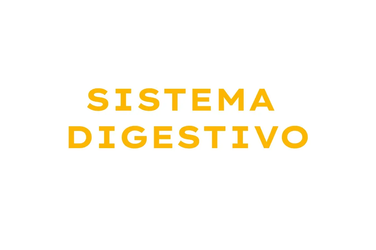 Medicamentos para el cuidado del sistema digestivo